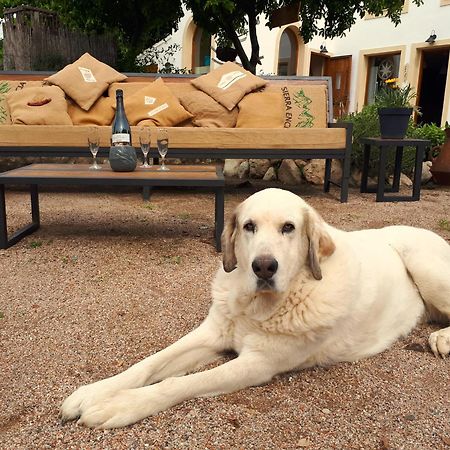 Cal Pau Cruset Guest House Torrellas de Foix Exterior photo